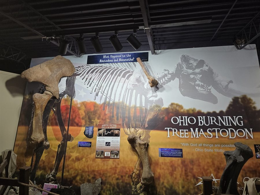 The Ohio Burning Tree Mastodon