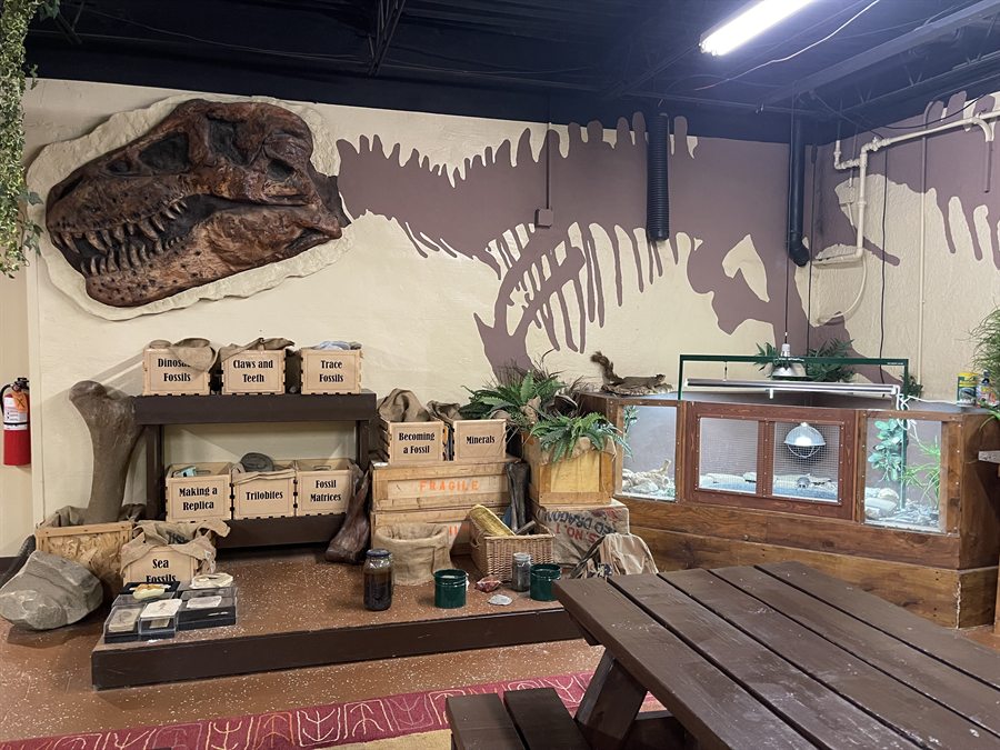 Hands-on fossil stations