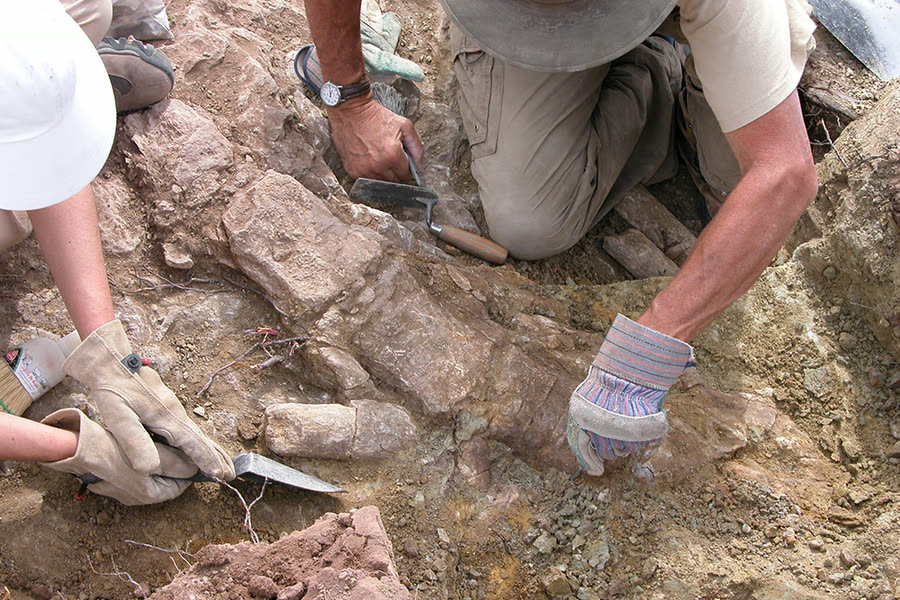Two people kneeling over a fossil bed, easing bone out of the rock with a trowel and a brush.